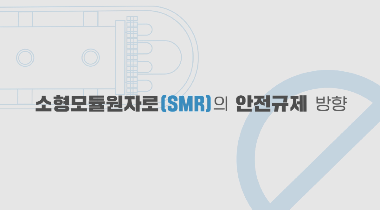 소형모듈원자로(SMR)의 안전규제 방향 영상자료이미지
